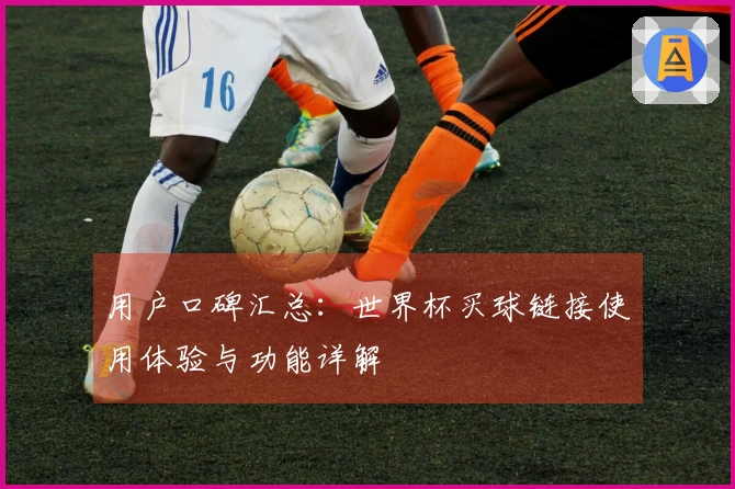 用户口碑汇总：世界杯买球链接使用体验与功能详解