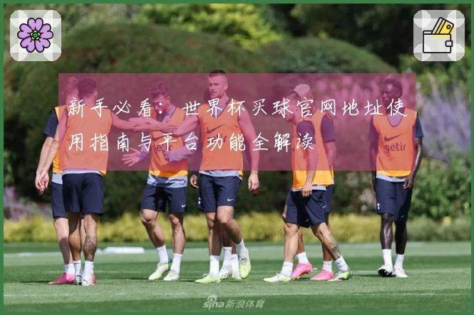 新手必看：世界杯买球官网地址使用指南与平台功能全解读
