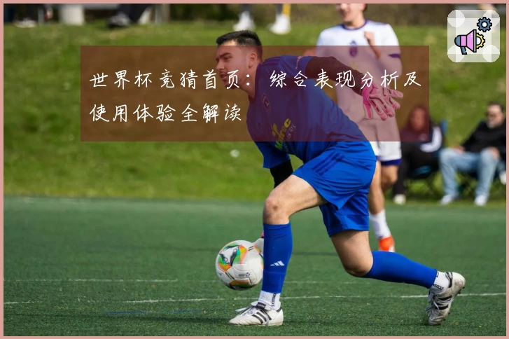 世界杯竞猜首页：综合表现分析及使用体验全解读