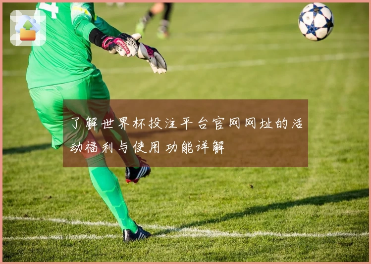 了解世界杯投注平台官网网址的活动福利与使用功能详解