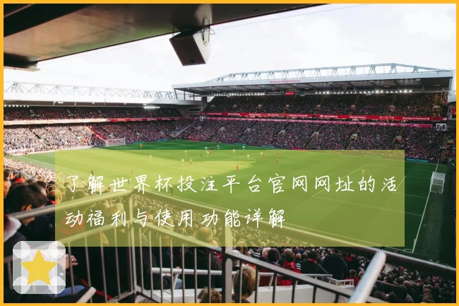 了解世界杯投注平台官网网址的活动福利与使用功能详解