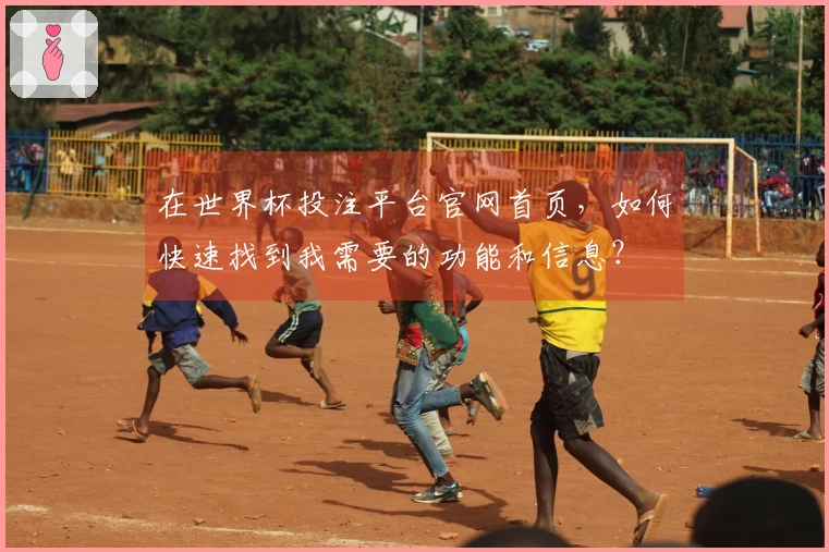 在世界杯投注平台官网首页，如何快速找到我需要的功能和信息？